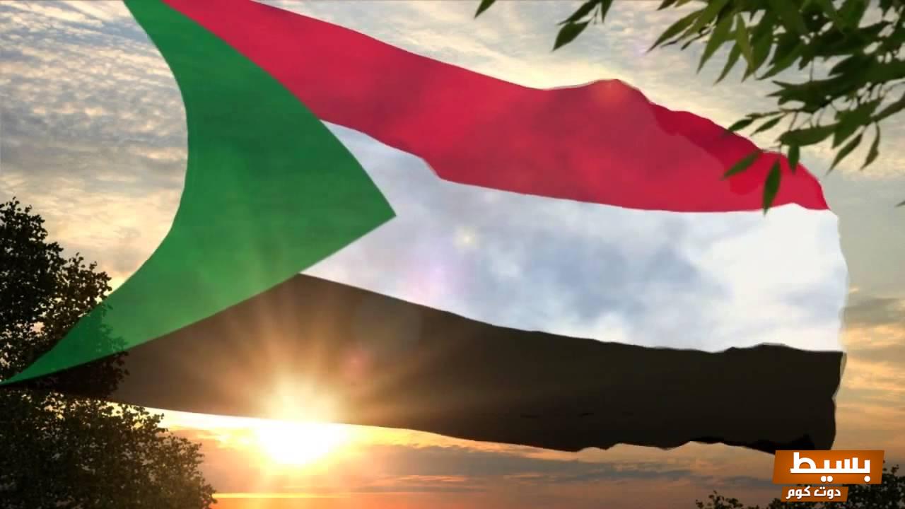 حجز موعد القنصلية السودانية بجدة الطريقة السهلة والمضمونة لتسهيل إجراءاتك! 6 حجز موعد القنصلية السودانية بجدة